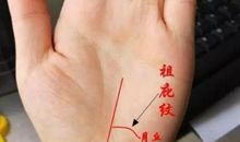 富贵手相长什么样？你拥有吗？