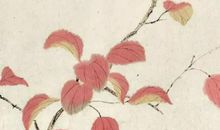 女孩取名：2020年12月30号出生的女孩结合古诗词取名字