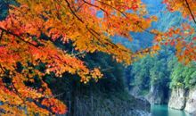 2020年春节处女座的贵人运好吗，怎么提升贵人运