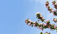 属马的人2020年5月运势