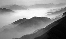 属马女和属狗男的相配吗 婚姻状况怎么样(图文)