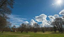 未来一个月，财神眷顾，福禄双全的三大生肖！