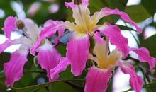 11月将成功转运，洪福齐天，财运多多，喜事多多的4属相