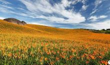 2020年春节处女座的财运好不好，怎么样提升财运