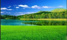 2019年圣诞节狮子座的桃花势好吗，和什么星座适合恋爱