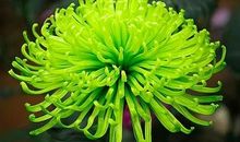 步入11月，4属相大喜进门，钱财滚滚到，风水轮流转，翻身变有钱