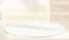 属兔可以放一个招财猫吗