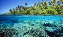 2019猪年出生的布姓男孩怎么样起名字 姓布男孩好名推荐(图文)