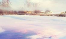 2020年元旦节巨蟹座的桃花势好吗，与什么星座最配