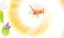 蒋介石属什么生肖揭秘谈