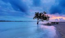 2019年冬至双子座的运势好不好，健康运如何