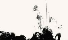 2020年7月26号出生的男孩如何起名字，用什么字好