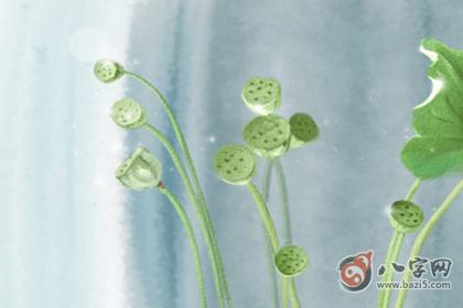 金命的人怎么能增加财运(图文) 1