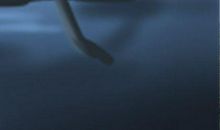 门前有桃树风水怎么样 怎么解释