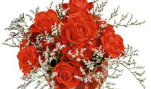 6月1日星座运势：金牛贵人相助，狮子脚踏实地，水瓶集思广益