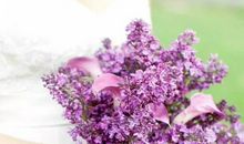 2020年4月生肖属虎和生肖属狗宜结婚的好日子