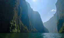 1月11号开始，贵人相助，万事如意，事业顺遂的4个生肖