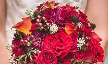 2020年4月生肖属狗和生肖属猪哪几天适合结婚