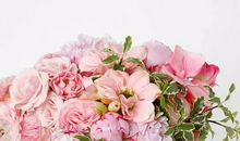 2020年4月生肖属兔和生肖属羊结婚吉日一览表