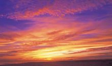 2020年元旦节金牛座的桃花势好吗，与什么星座最配