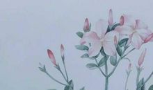 2020年白羊座的运势如何，财运怎么样