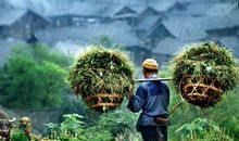 生活中应该注意哪些风水？