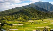 什么是风水？生气是风水的命脉，大德才能得大风水，否则与风水宝地无缘！