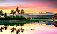 2020年春节白羊座的桃花势好吗，能脱单成功吗