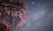 让人猜不透的三大星座，摩羯座高冷内热