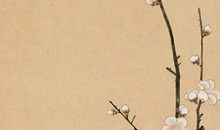 2020年农历闰四月二十二出生的男孩怎么起名字，五行八字是什么