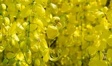 6号开始，越来越有钱！3生肖，大运缠身，11月脚踩“狗屎运”，12月一发发大财