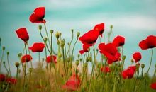 这3生肖赚钱能力一流，旺夫旺子旺全家，家财越积越多，幸福一生