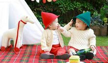 生肖猪龙凤胎如何取名