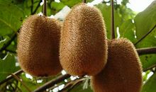 放得下，看得开，前夫再婚也无所谓的生肖女