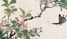 2020庚子年农历八月初八出生的女孩起什么名字好，宜用哪些字