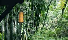 你的嘴，就是你的风水（深度好文）