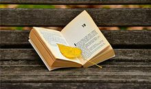 好听的小说主角名字