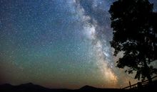 下降星座狮子座，缺乏主导性但喜欢照顾人