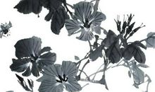 2020年7月30号出生的男孩起什么名字有寓意，五行属什么