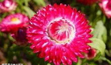 恭喜四生肖运势持续走高，11月10开始外有贵人内有家人，好日子就此来到!