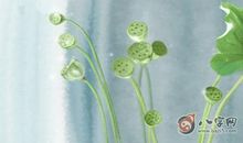 女人印堂有悬针，头婚无子不能登是什么面相