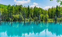 2020年春节天秤座的财运好不好，怎么样提升财运