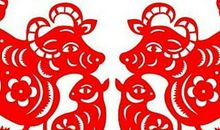 1997年属牛本命年要注意什么,24岁2021年属牛本命年运势