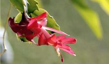 2月开始，生财有道，好运伴身，吉祥如意的星座