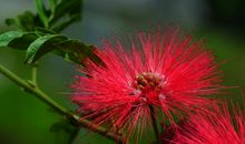 未来半年吉星开路，好运傍身，运呈上上签，钱财大旺的四属相