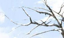 测你的2020最佳表白日