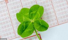 11月中旬，这些星座运势一枝独秀，遇见小幸运