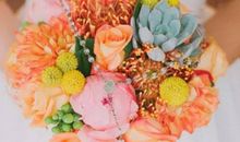 2020年10月,11月和12月生肖属虎和生肖属龙结婚吉日一览