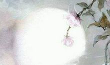 2020鼠年４月生肖属狗人的桃花运好吗，难尽人意烦恼多