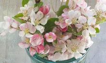 2020年农历十一月和十二月生肖属兔和生肖属猪订婚吉日有哪些